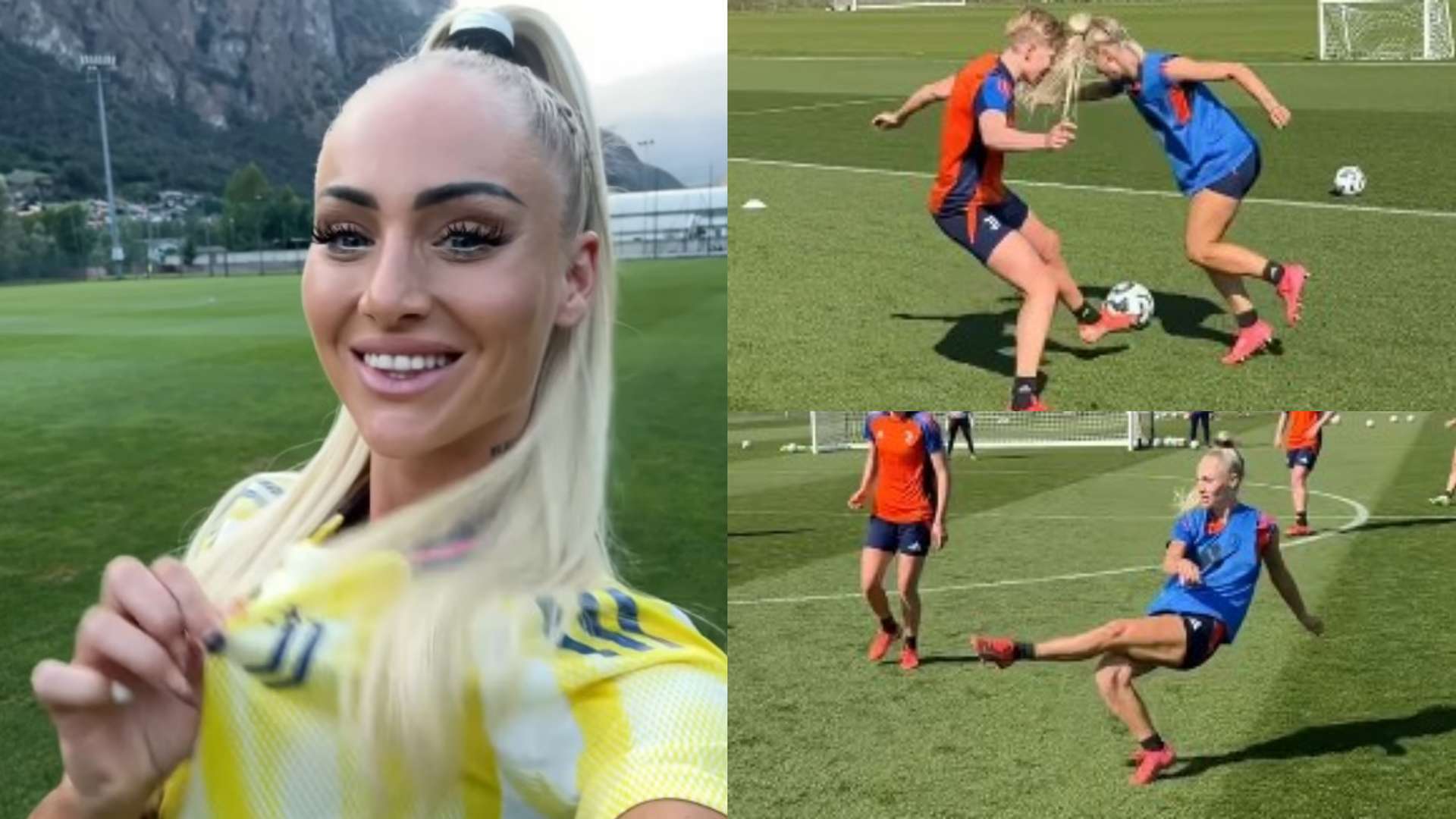 一向以稳定 一向以稳定